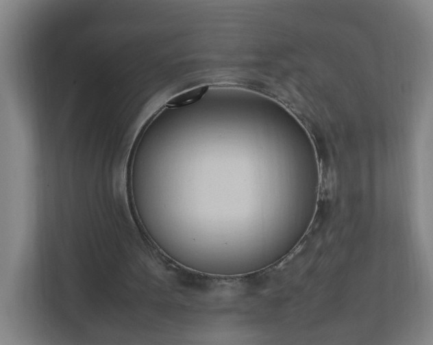 X0000111950099200908031206