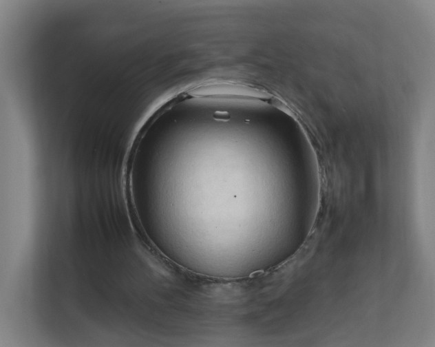 X0000111950100200908031206