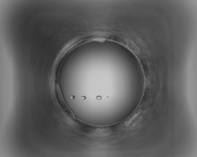 X0000111950101200908031206