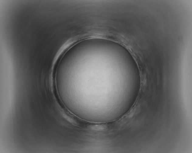 X0000111950102200908031206