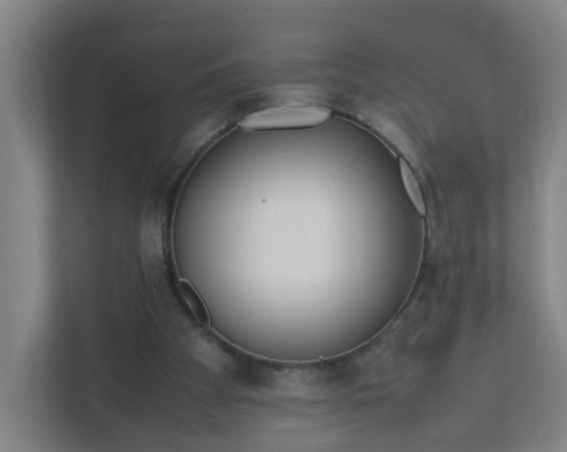 X0000111950105200908031206