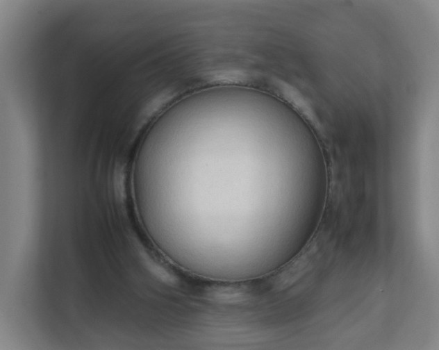 X0000111950106200908031206