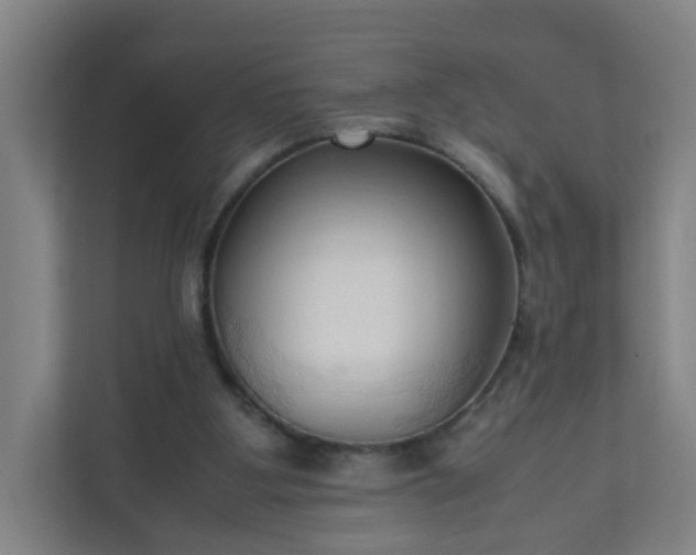 X0000111950107200908031206