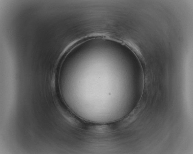 X0000111950108200908031206