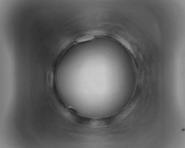 X0000111950109200908031206