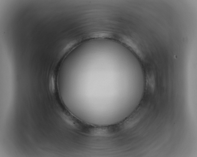 X0000111950110200908031206