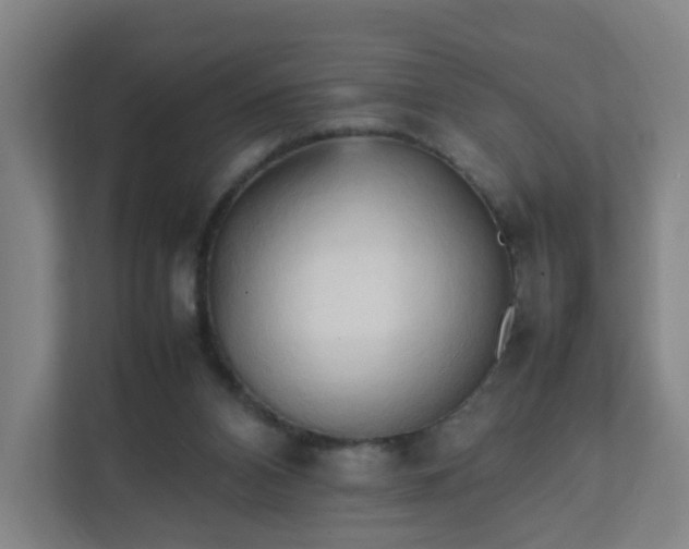 X0000111950112200908031206