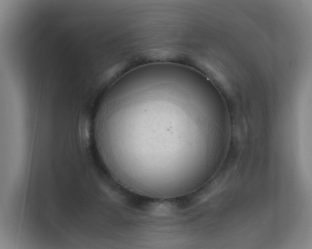 X0000111950115200908031206