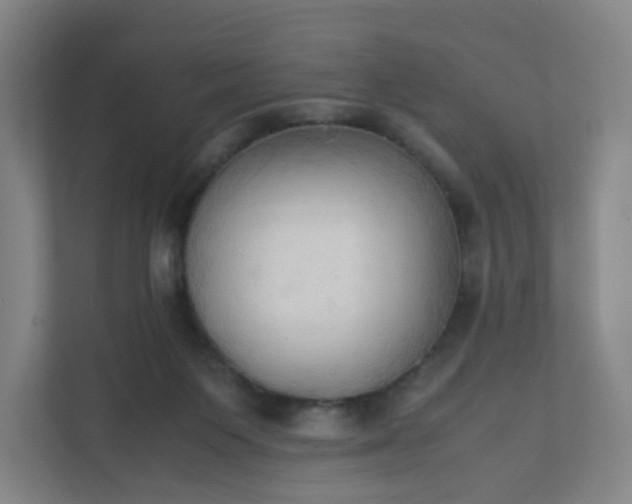 X0000111950119200908031206