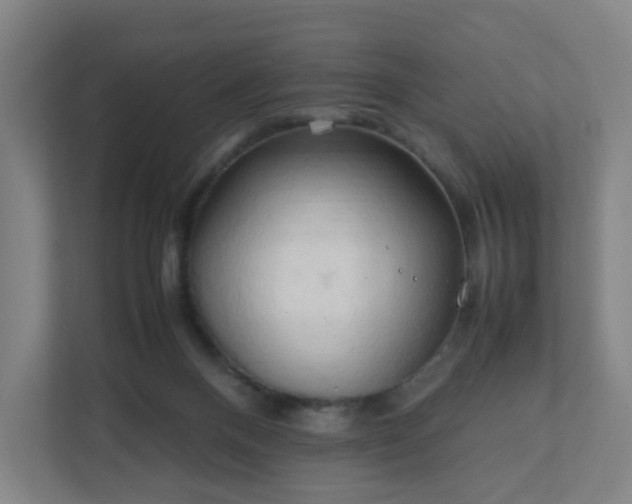 X0000111950120200908031206