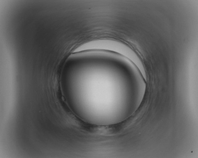 X0000111950121200908031206