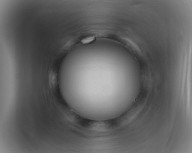 X0000111950123200908031206