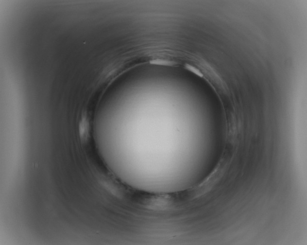 X0000111950124200908031206