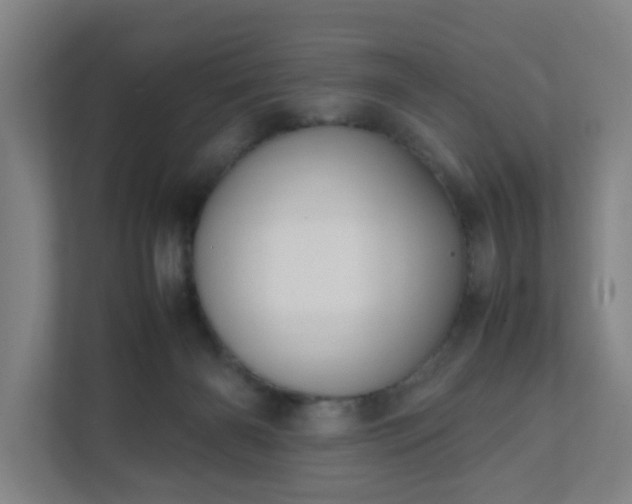 X0000111950126200908031206
