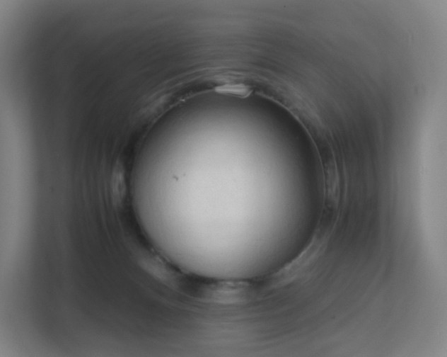 X0000111950128200908031206