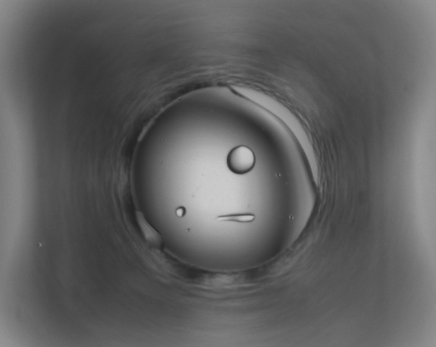 X0000111950129200908031206