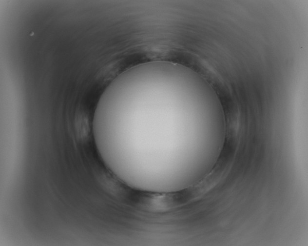 X0000111950130200908031206