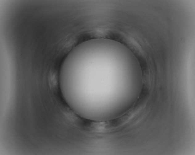 X0000111950131200908031206