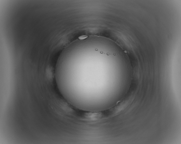 X0000111950135200908031206