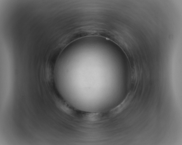X0000111950136200908031206