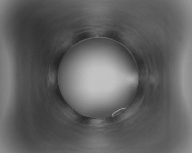 X0000111950139200908031206