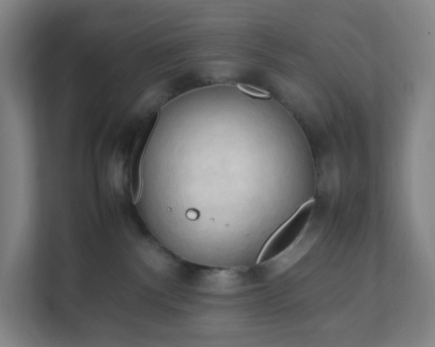 X0000111950140200908031206