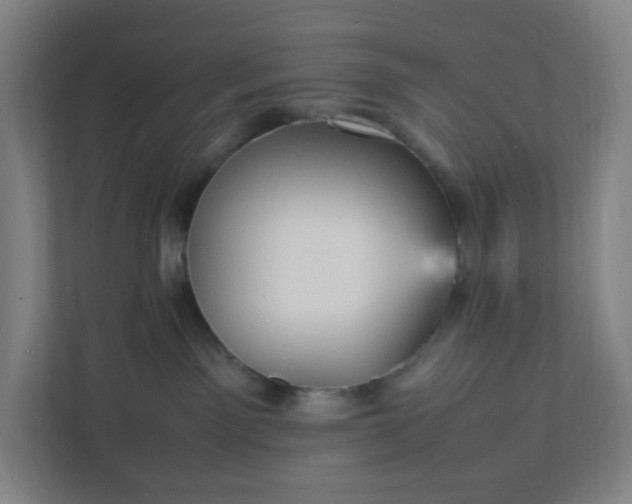 X0000111950141200908031206