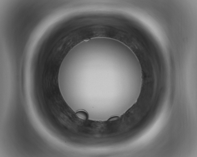 X0000111950143200908031205