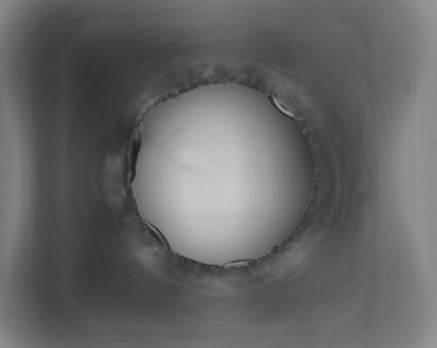 X0000111950144200908031205
