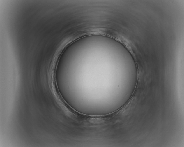 X0000111950145200908031205