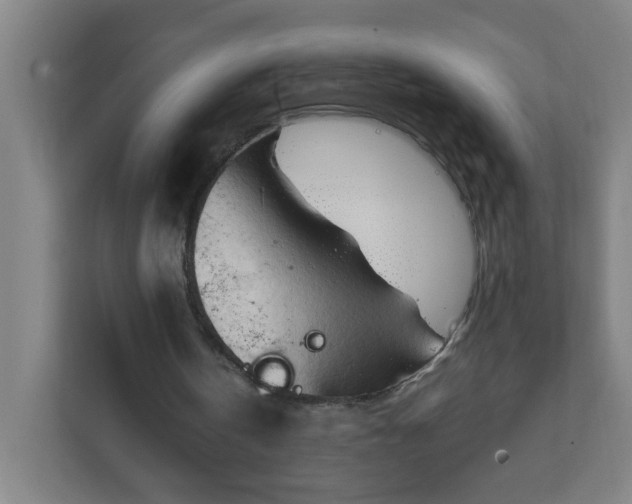 X0000111950146200908031205