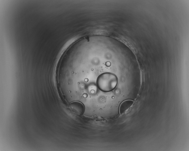 X0000111950147200908031205