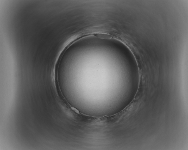 X0000111950148200908031205