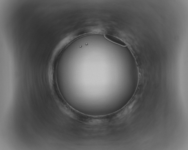 X0000111950149200908031205