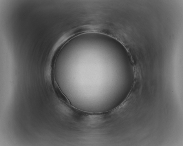 X0000111950150200908031205
