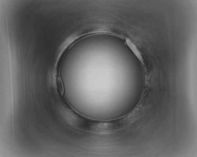 X0000111950152200908031205