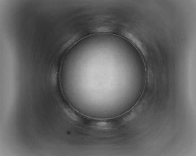 X0000111950153200908031205