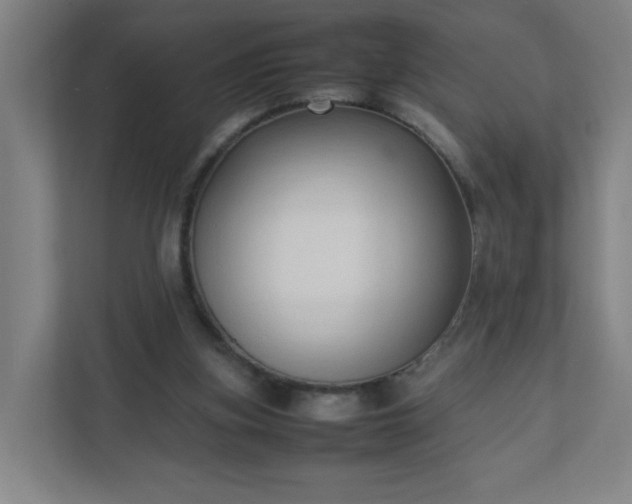 X0000111950155200908031205