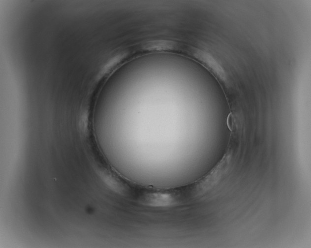 X0000111950159200908031205
