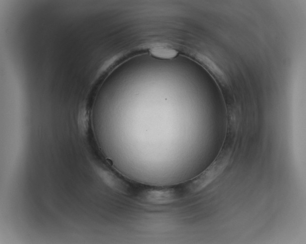 X0000111950160200908031205