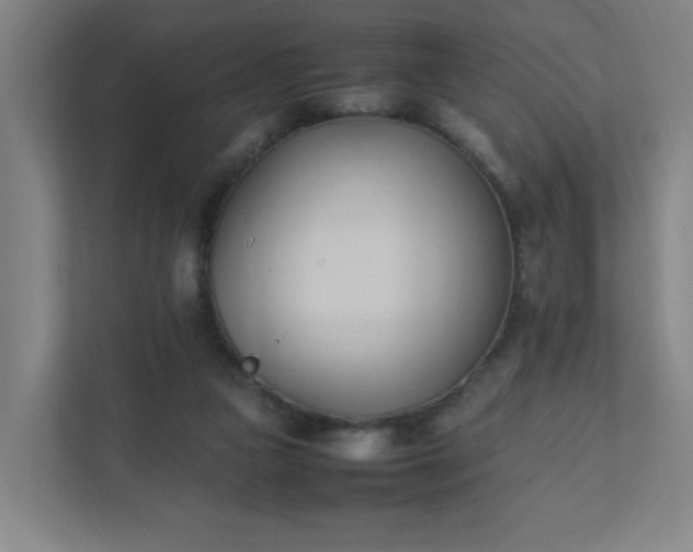 X0000111950161200908031205