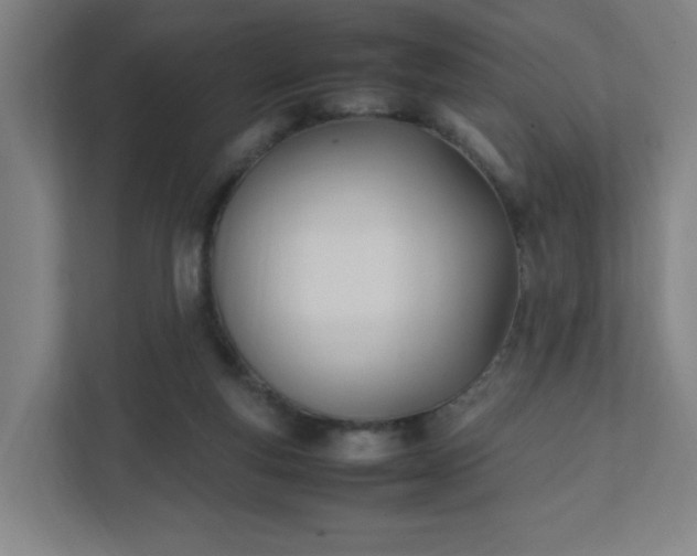 X0000111950163200908031205
