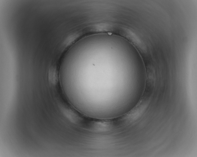 X0000111950164200908031205