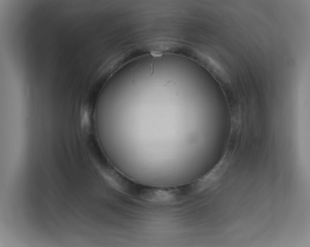 X0000111950166200908031205