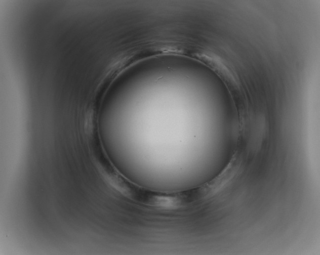 X0000111950167200908031205