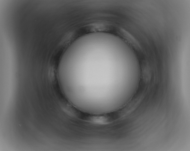 X0000111950169200908031205
