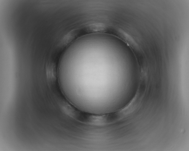 X0000111950170200908031205