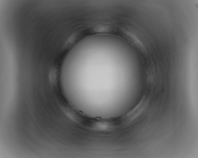 X0000111950171200908031205