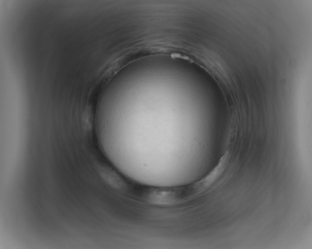 X0000111950174200908031205