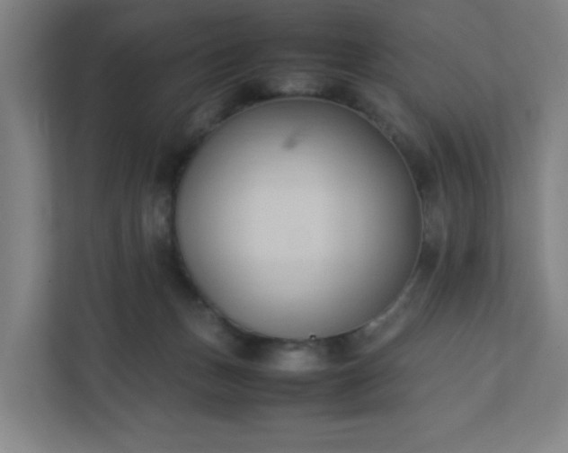 X0000111950175200908031205